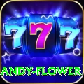 andy flower Slots Premium v2.8.8