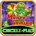 australian cricket Cash Premium