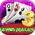 dawid malan Pakistan Super v4.2.0