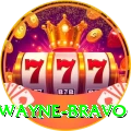dwayne bravo Max New
