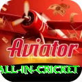 fastest ball in cricket Premium Jackpot