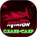 grass carp Gaming Super v5.1.3