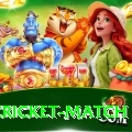 india cricket match - Extreme Edition v4.6.8