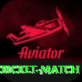 india newzealand cricket match APK Champion v2.8.0