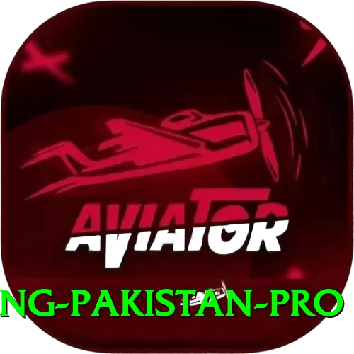 IPL Betting Pakistan Gaming Prime - 2
