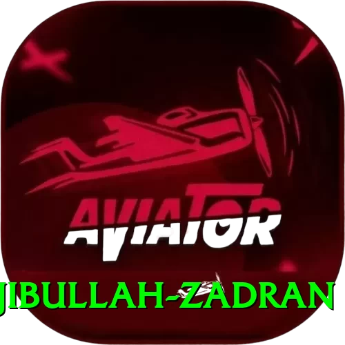 najibullah zadran Live Max - 2