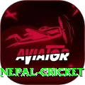 nepal cricket Turbo PK v1.7.8