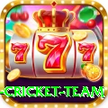 new zealand cricket team Slots Premium v2.8.5