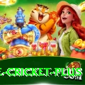 one cricket Mega PK v2.0.5