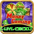 smartcric live cricket Gold v3.1.2