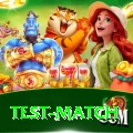 test match Earn Prime v4.4.5