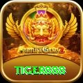 tiger888 - Mega Earning App
